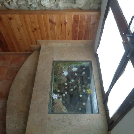 Columbaira