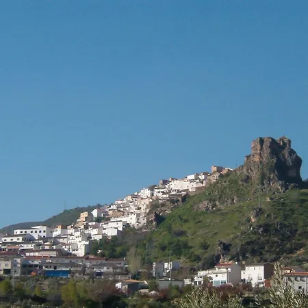 Columbaira Colomera