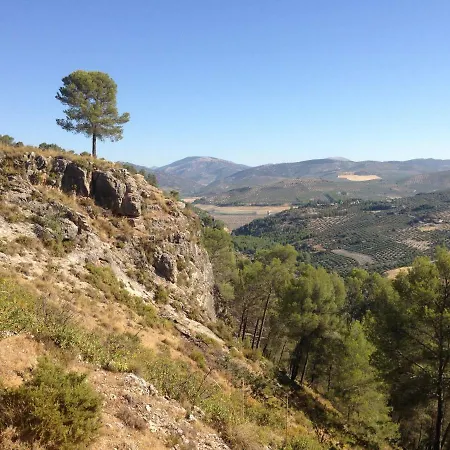 Columbaira Colomera
